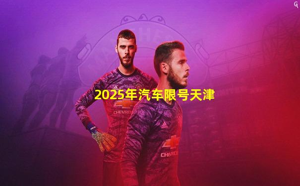 2025年汽车限号天津