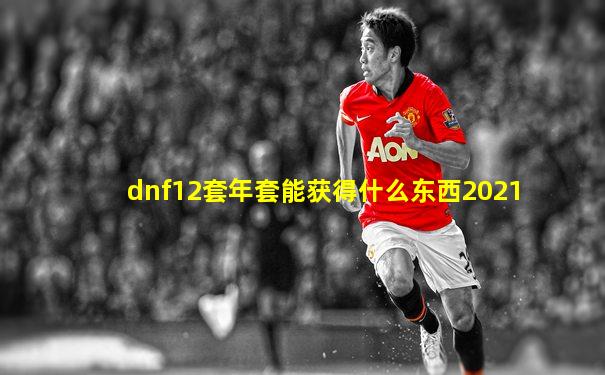 dnf12套年套能获得什么东西2021