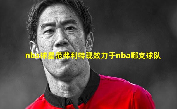nba球星范弗利特现效力于nba哪支球队