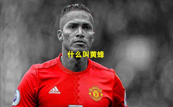 什么叫黄蜂