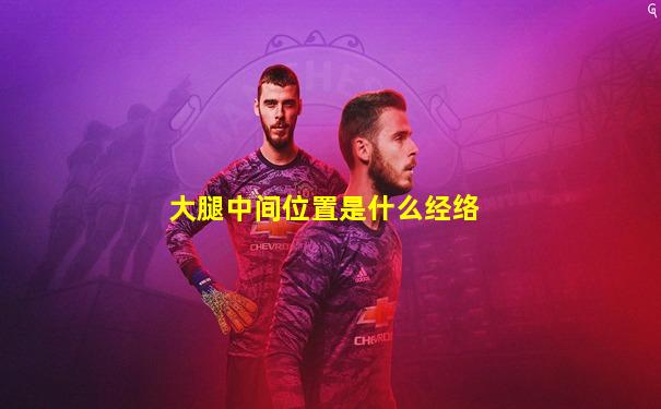 大腿中间位置是什么经络