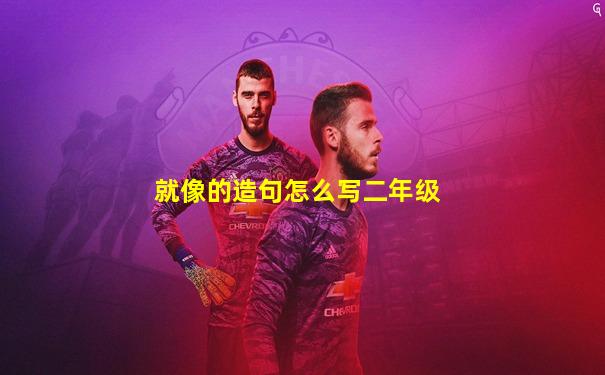 就像的造句怎么写二年级