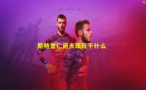 斯特里仁诺夫现在干什么