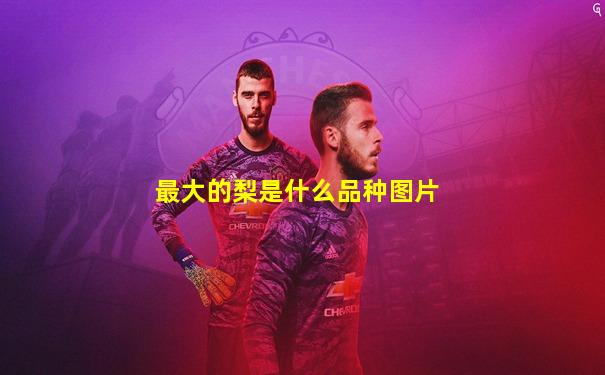 最大的梨是什么品种图片