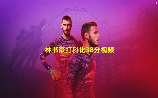 林书豪打科比38分视频