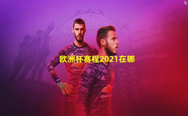 欧洲杯赛程2021在哪
