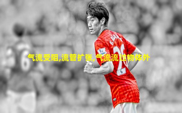 气流受阻,流管扩张,气流流过物体外