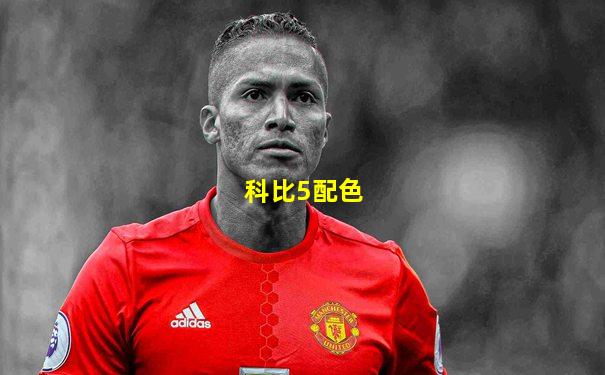 科比5配色