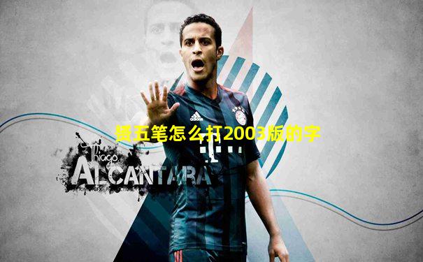 赟五笔怎么打2003版的字
